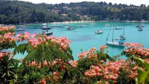 Lakka_Paxos_bay_view_and_summer_mimosa-9x16