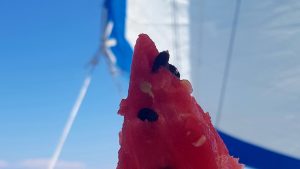 Watermelon_and_sailing_1-9x16
