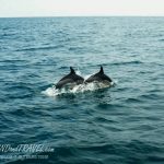 Гармония в синхронности