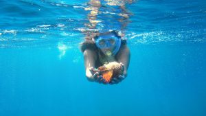 Snorkeling_Anna_and_seashell-9x16